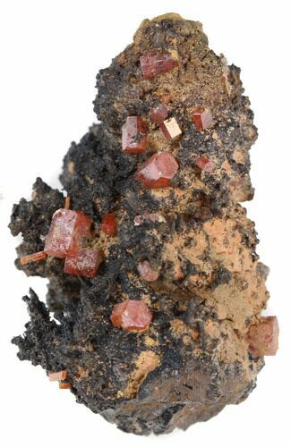 Red Vanadinite Crystals on Manganese Oxide - Morocco #38489